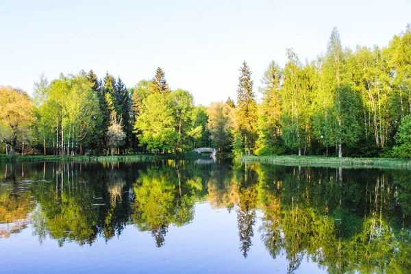 Sommerpark Hintergrund Sommerpark Helle Natur Bäume Mit Grünen Blättern Spaziergang — Stockfoto