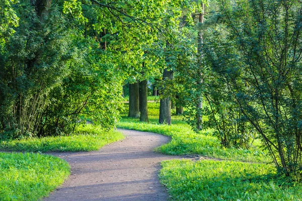 Yaz Park Yolu Yeşil Ağaçlar Taş Yolları Temiz Havada Yürüyüş — Stok fotoğraf
