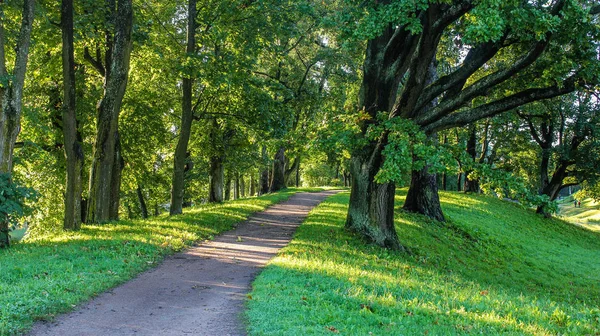 Caminho Parque Verão Árvores Verdes Caminhos Pedra Caminhe Livre Verão — Fotografia de Stock