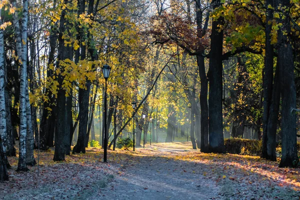 Bellissimo Parco Autunnale Natura Viaggi — Foto Stock