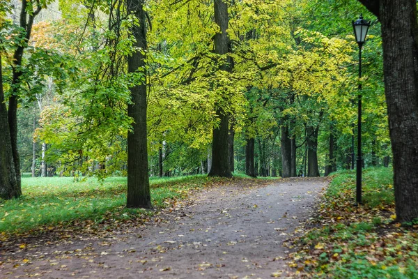 Piękny Jesienny Park Charakter Podróże — Zdjęcie stockowe