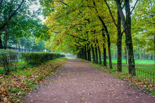 美丽的秋季公园 — 图库照片