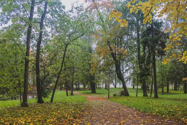 Beautiful Autumn Park Nature Travel — Stock Photo, Image