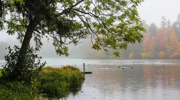 Nydelig Høstpark Natur Reise – stockfoto