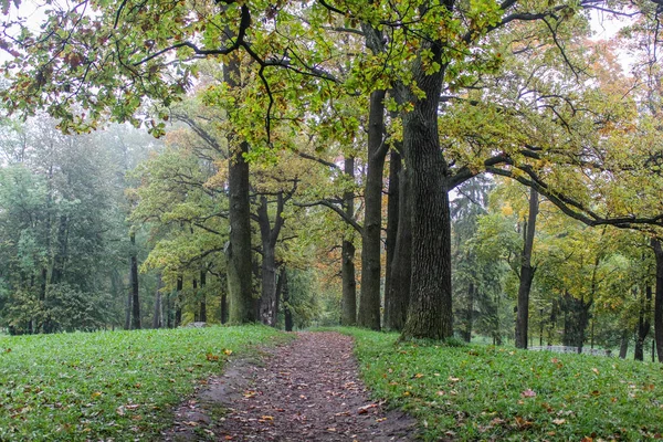 美しい秋の公園 自然旅行 — ストック写真