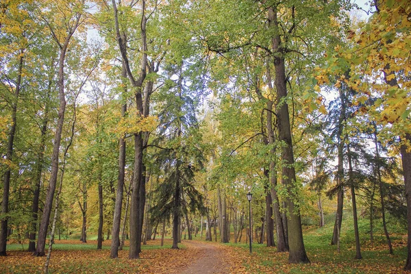 Hermoso Parque Otoño Naturaleza Viajes — Foto de Stock