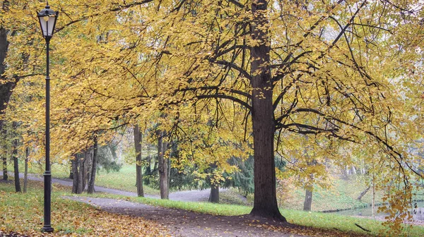 Gyönyörű Őszi Park Természet Utazás — Stock Fotó