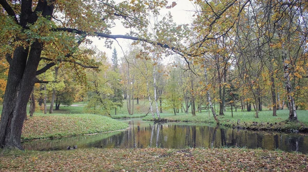 Bellissimo Parco Autunnale Natura Viaggi — Foto Stock