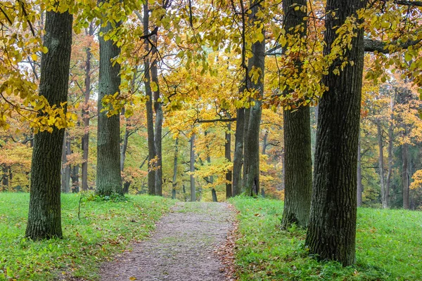 Wunderschöner Herbstpark Natur Reisen — Stockfoto