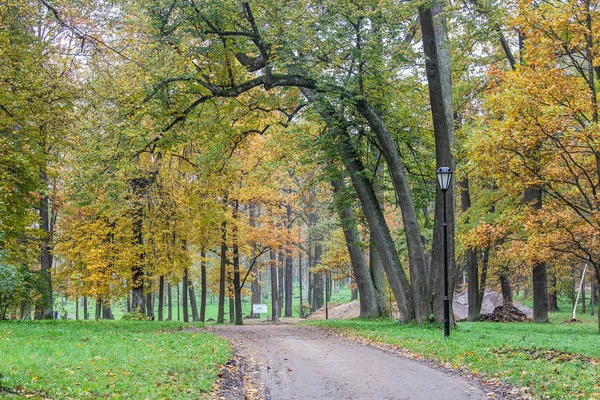 Wunderschöner Herbstpark Natur Reisen — Stockfoto