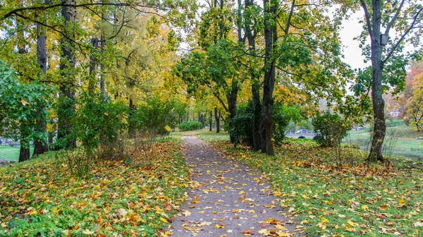 Gyönyörű Őszi Park Természet Utazás — Stock Fotó