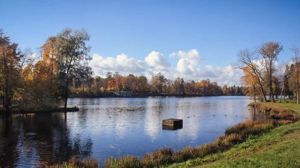 Piękny Jesienny Park Charakter Podróże — Zdjęcie stockowe