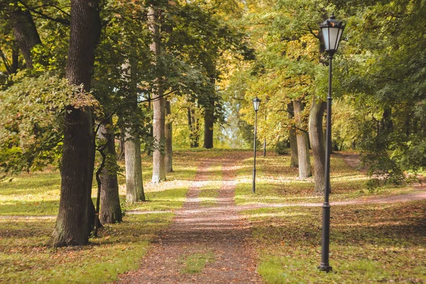 Piękny Jesienny Park Charakter Podróże — Zdjęcie stockowe