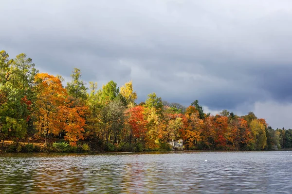 Vacker Höstpark Natur Resor — Stockfoto