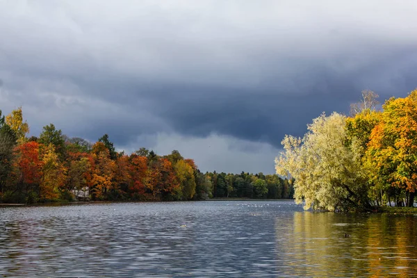 Vacker Höstpark Natur Resor — Stockfoto