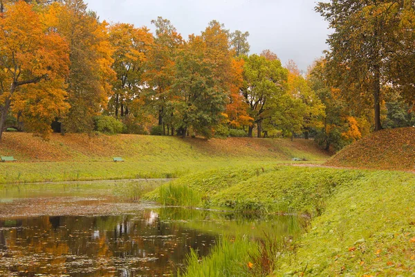 Gyönyörű Őszi Park Természet Utazás — Stock Fotó