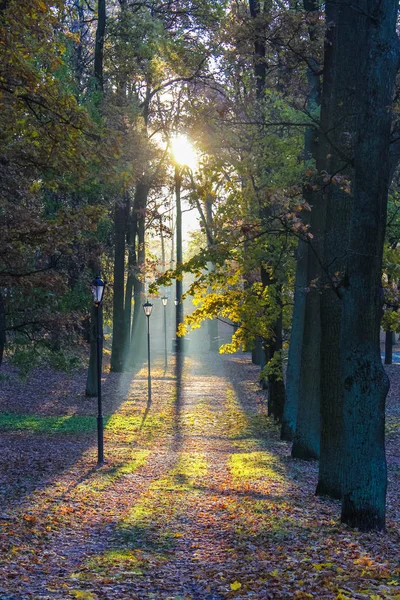 Piękny Jesienny Park Charakter Podróże — Zdjęcie stockowe