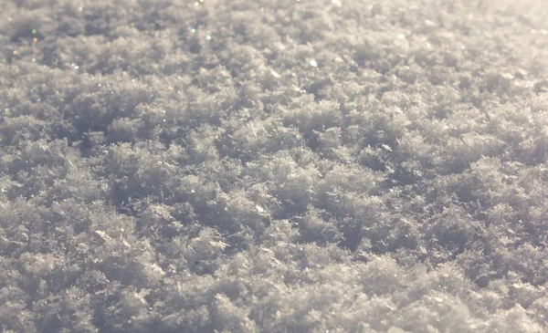 Struttura Della Neve Magia Invernale — Foto Stock