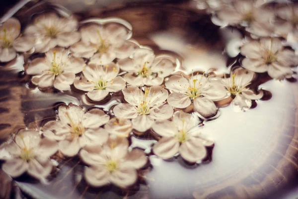 Detail Květin Plovoucí Vodě — Stock fotografie