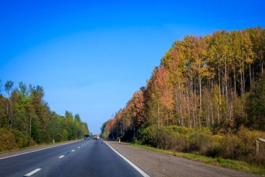 Güzel yaz manzarası. Doğa, seyahat