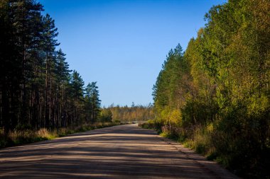 Güzel yaz manzarası. Doğa, seyahat