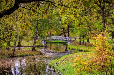 Güzel bir sonbahar parkı. Doğa, seyahat