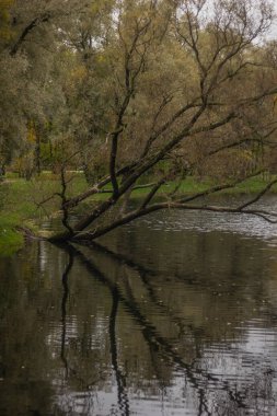 Güzel göl sonbahar günü Park'ta. Doğa
