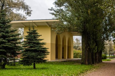 sonbahar parkı ve ağaçlardaki binaların görünümü