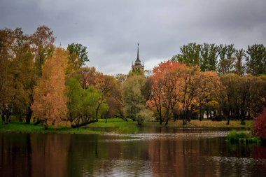 Güzel göl sonbahar günü Park'ta. Doğa