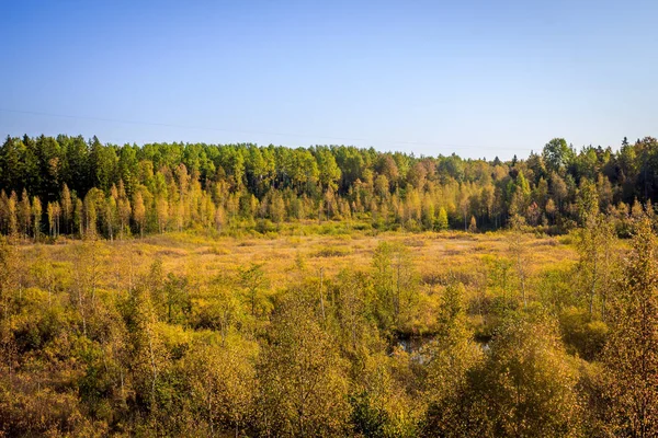Vacker Höstpark Natur Resor — Stockfoto