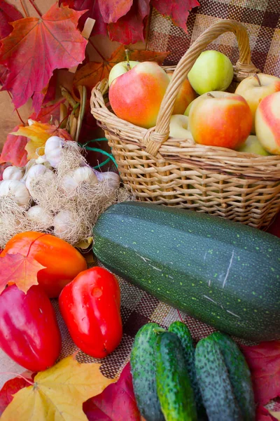 Autumn Harvest Fruits Vegetables — Stock Photo, Image