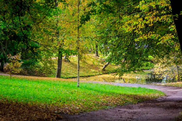 Güzel Bir Sonbahar Parkı Doğa Seyahat — Stok fotoğraf