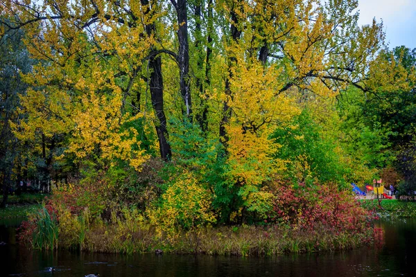 Piękny Park Jesienny Dzień Natura — Zdjęcie stockowe