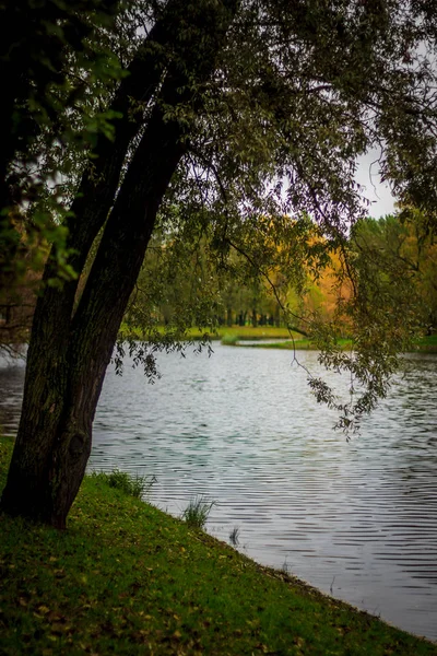 Piękne Jezioro Parku Jesienny Dzień Natura — Zdjęcie stockowe
