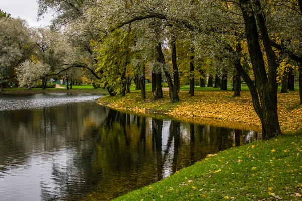 Piękne Jezioro Parku Jesienny Dzień Natura — Zdjęcie stockowe