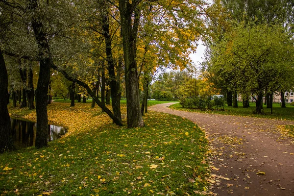 Beautiful Park Autumn Day Nature — Stock Photo, Image