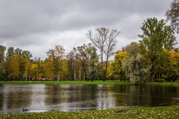 Güzel göl sonbahar günü Park'ta. Doğa