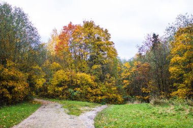 Güzel park sonbahar günü. Doğa