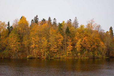 Güzel göl sonbahar günü Park'ta. Doğa