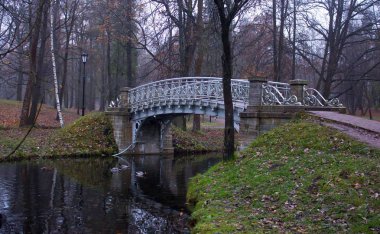 Güzel sonbahar park su birikintisi. Doğa, seyahat