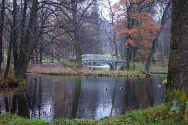 Güzel sonbahar park su birikintisi. Doğa, seyahat