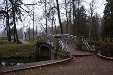 Güzel sonbahar park su birikintisi. Doğa, seyahat