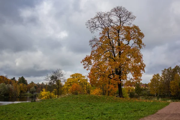 Krásný Park Podzimní Den Příroda — Stock fotografie