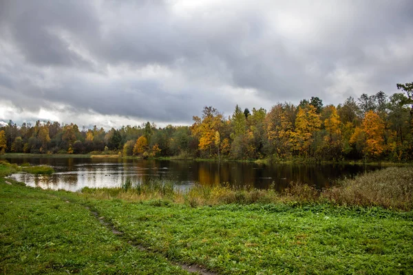 秋の日の公園の美しい湖 — ストック写真