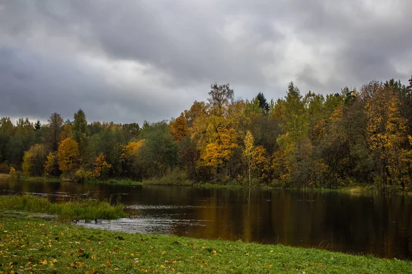 Gyönyörű Park Őszi Napon Természet — Stock Fotó