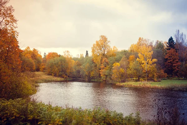 Krásné Jezero Parku Podzimní Den Příroda — Stock fotografie