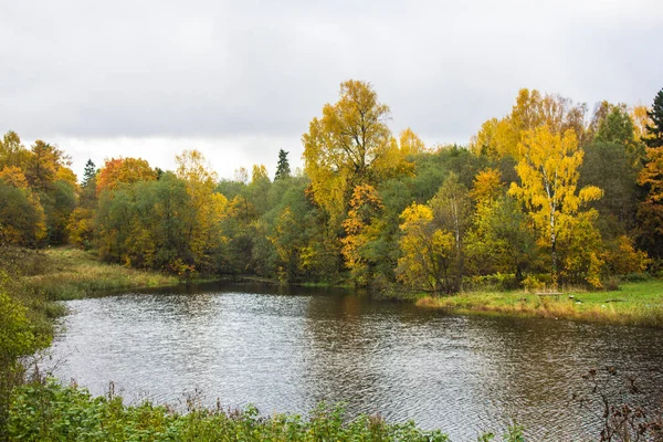 秋の日の公園の美しい湖 — ストック写真