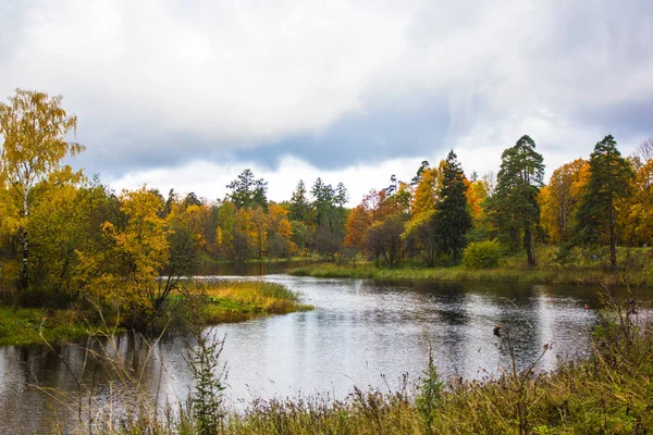Krásné Jezero Parku Podzimní Den Příroda — Stock fotografie