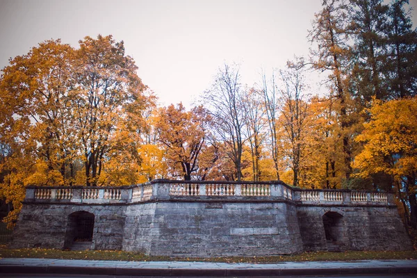 Güzel park sonbahar günü. Doğa