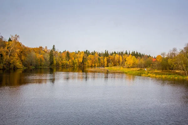 Krásné Jezero Parku Podzimní Den Příroda — Stock fotografie